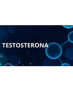 Exame de Testosterona 