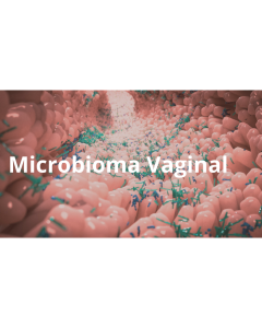 Exame Microbioma Vaginal 